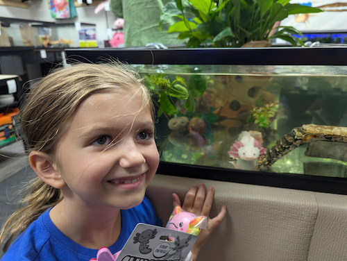 Addie and the Axolotl